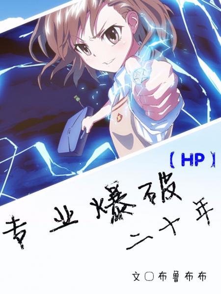 [HP]专业爆破二十年